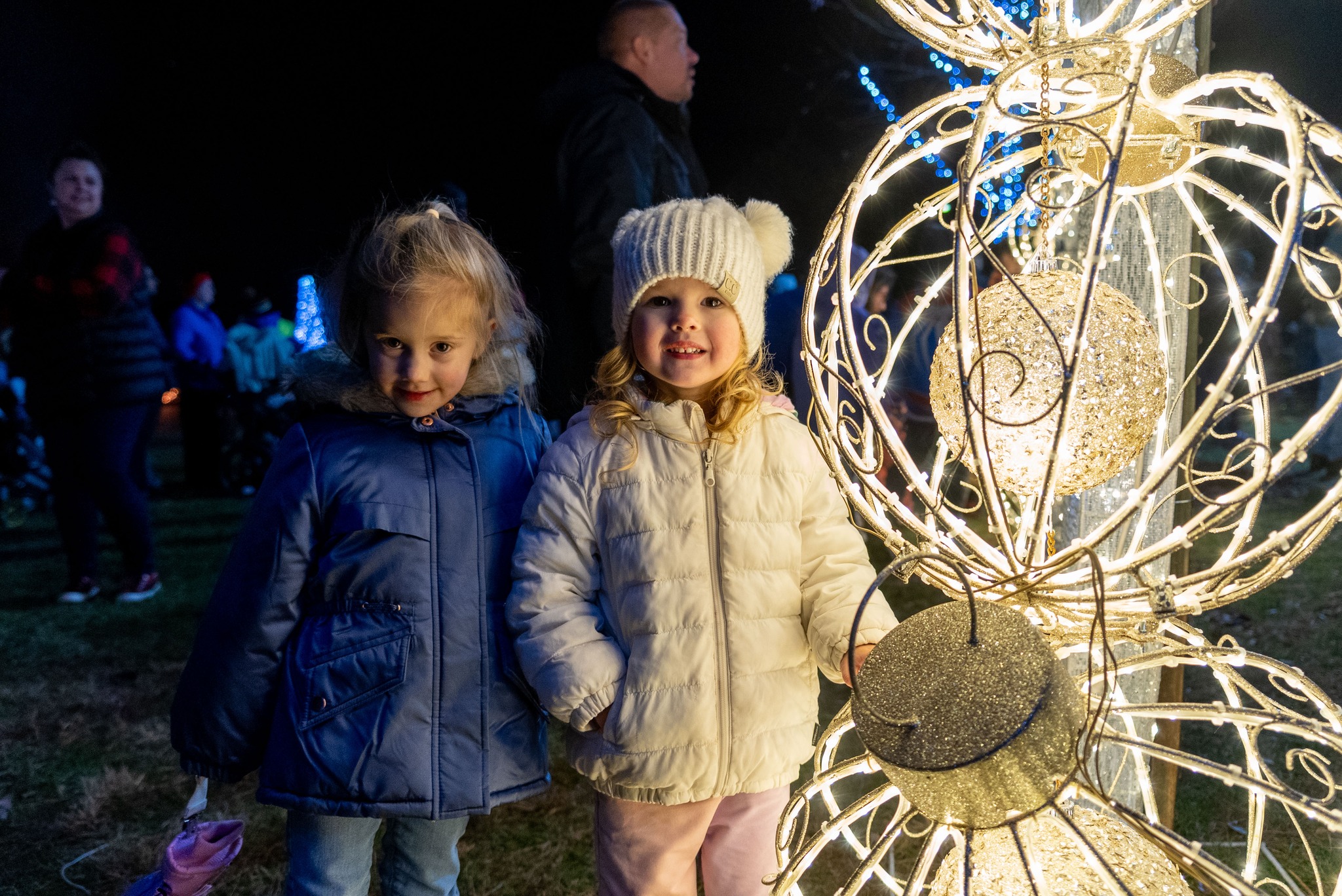 Holiday Lights